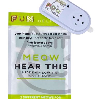 Hidden Cat Sound Prank Device – Fun Toy